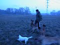 Izgi, Turbi, G�Pu, Z�mi