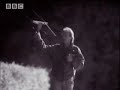 bbc: mother wolf epic journey to feed cubs