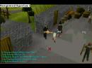 Runescape Queeen Beee Whacking