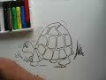 HOW TO DRAW A CARTOON TORTOISE PART ONE HOW TO DRAW A CARTOON TORTOISE PART ONE