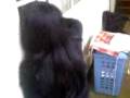 videos de nia no molestes a tu tia
