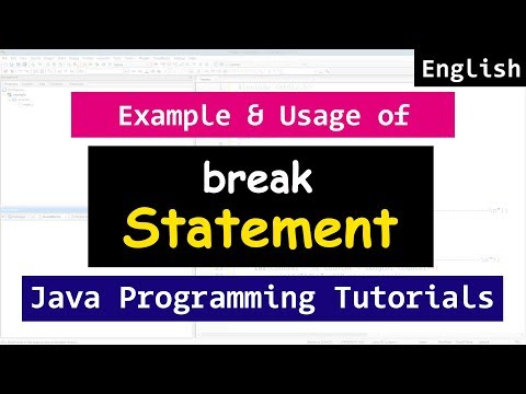 how to break for loop in java