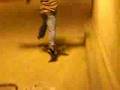 skate video