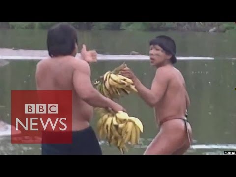 Face to face with isolated Amazon tribe in Brazil - BBC News
