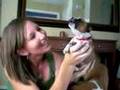 Cute howling puppy no.3