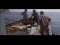  - MovieZen Video