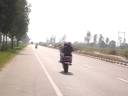 wheelie of fireblade