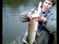 Snoek 84 cm
