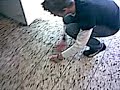 Sklave putz mir die Schuhe - www.fuseltown.de Sklave putz mir die Schuhe - www.fuseltown.de