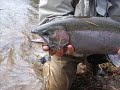 Salmon River Steelhead