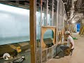 Shedd Aquarium’s Oceanarium Gets Big Overhaul