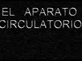 aparato circulatorio