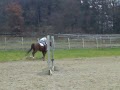 Jimmy Sale horse