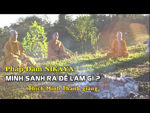 Pháp Đàm NIKAYA – Mình Sanh Ra Để Làm Gì ? Pháp Đàm NIKAYA – Mình Sanh Ra Để Làm Gì ?