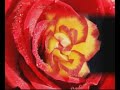 one of my favorite music. can't help listening over and over again. on top of that i added my beautiful flower - roses to heighten the effect.