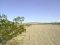 TREVIS &amp; JOE IN THE DESERT OUT IN LENWOOD