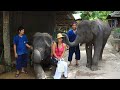 Elephant and the hat!