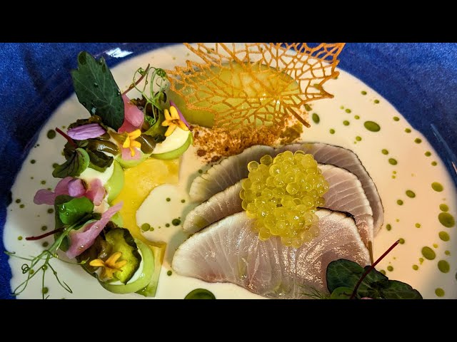 Hamachi “tataki” shiroi daku | avocado | apple-wasabi sorbet | pickled japanese veggies | char caviar