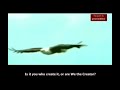 Amazing Recitation By Mishary Alafasy - Surat Al-Waqiah (CORRECTED) Amazing Recitation By Mishary Alafasy - Surat Al-Waqiah (CORRECTED)
