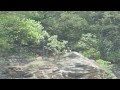 Lake Jocassee 110ft Jump - Marshall Wilson Lake Jocassee 110ft Jump - Marshall Wilson