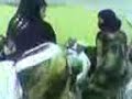 sexy arabian Malayya .. pure hot boddies shaking