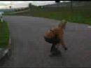 Aggressiv Inlinesk8ing 1