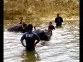 Cigdem Yorgancioglu Kuala Gandah Swim Elephant Malaysia Cigdem Yorgancioglu Kuala Gandah Swim Elephant Malaysia