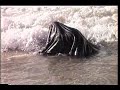 teledysk, klip, Tom Waits,- The Ocean Doesn't Want Me