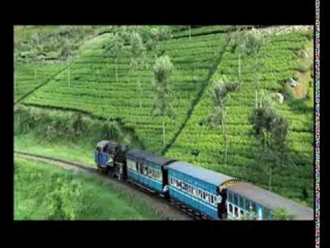how to plan ooty trip