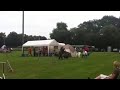 Kreismeisterschaft 2012 Ostbevern