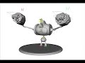 Ape Model