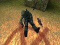counterstrike kiffer counterstrike kiffer