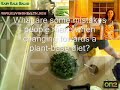 Raw Food Nutrition: Detoxification Video Raw Food Nutrition: Detoxification Video