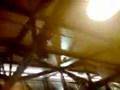 Rasmus-Video-Blog-2-