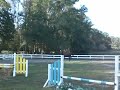 isr filly 2.AVI