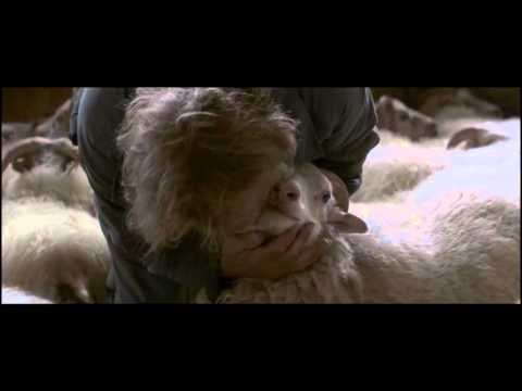 Rams, storia di due fratelli e otto pecore