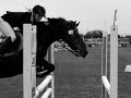 equestrian - foto 1