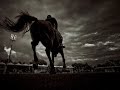 equestrian - foto 2