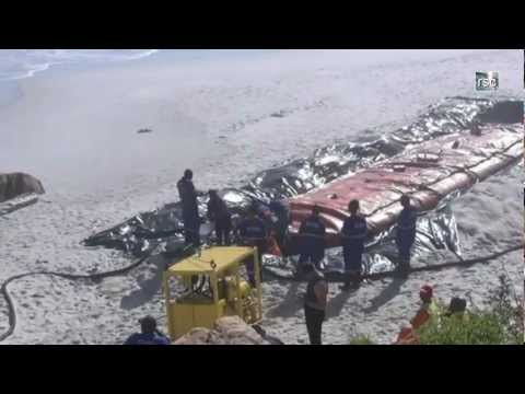 ship runs aground - The Japanese longliner that became stranded on Cape Town's Clifton beach on Saturday was finally tugged off successfully on the third attempt on Friday 18 Ma...
