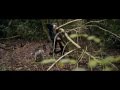 Oceans Ate Alaska No Strings Video and Lyrics