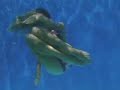 Girls Swimming Under Water