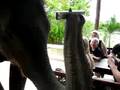 videos de thailand