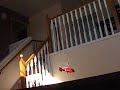 ESKY Dauphin RC Helicopter close up