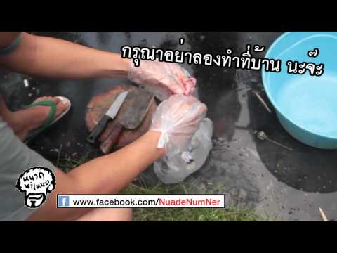 กินแปลก - ตอนที่ 2 ของเมนูเปิปพิศดาร น้าหนวดพาไปชมวิธีการทำคางคก...