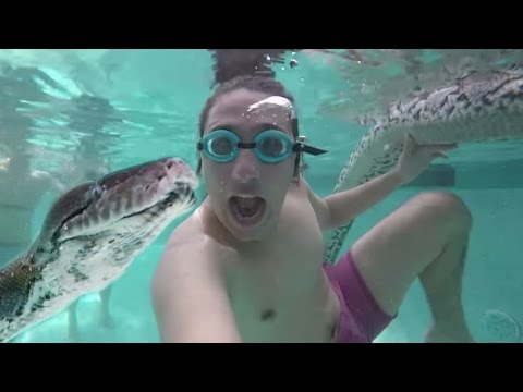 YouTube reptile video