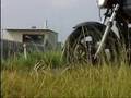 1979：RD250改　・ Custom