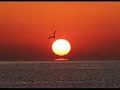 Meditation and Relaxation Video 2 - \"Phoenix\" Meditation and Relaxation Video 2 - \"Phoenix\"