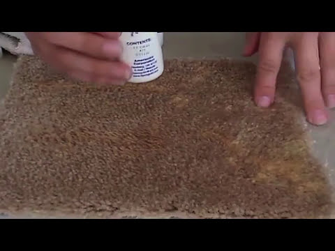 how to dye auto carpet with rit