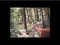 Buck Spooked by Human Scent Buck Spooked by Human Scent