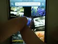 iPhone JavaScript Virtual Light Table